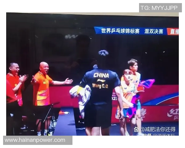 乒乓球盛宴：深入武汉乒乓球队的默契配合与战术探讨