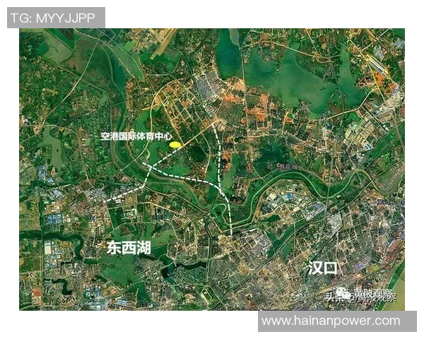 武汉篮球队运营策略深度分析与市场发展前景探讨